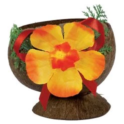 Cheap 🛒 Summer Luau Authentic Coconut Cups with Flowers, 4ct. by Amscan 🎉