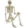 Best Sale 🧨 5ft. Life Size Poseable Skeleton Prop 💀 Halloween Décor by Amscan 🔥