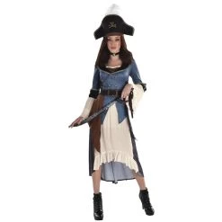 Best Pirce 𧨠Posh Pirate Adult Costume by Amscan π